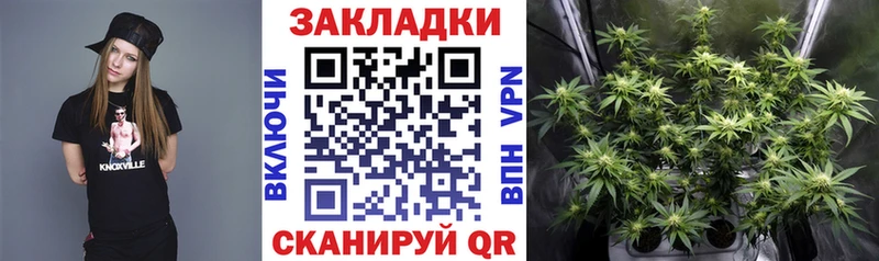 Какие есть наркотики Александровск-Сахалинский Конопля Галлюциногенные грибы Амфетамин ГАШ мега tor Меф