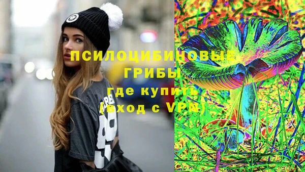 ECSTASY Абаза